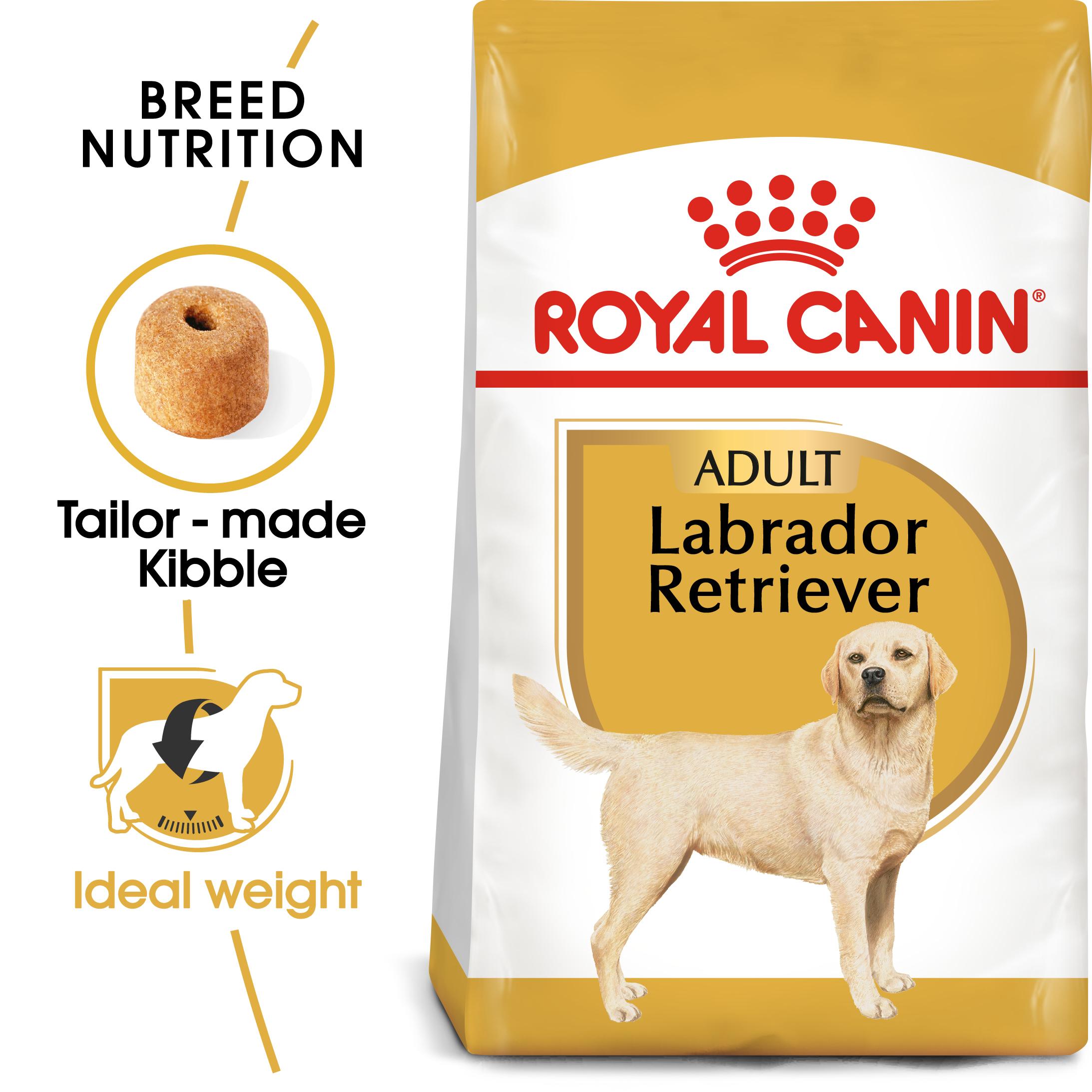 Royal Canin Labrador Retriever Adult Dry Dog Food 12kg Buy Royal